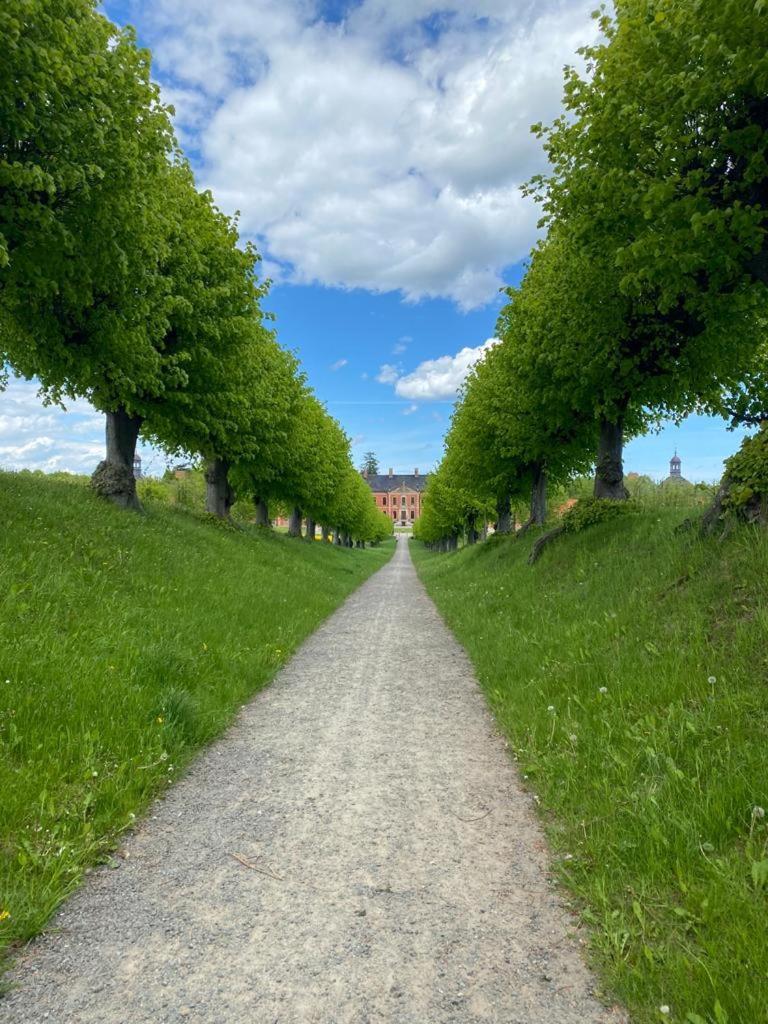 Ferienwohnung Uta Grundshagen 外观 照片